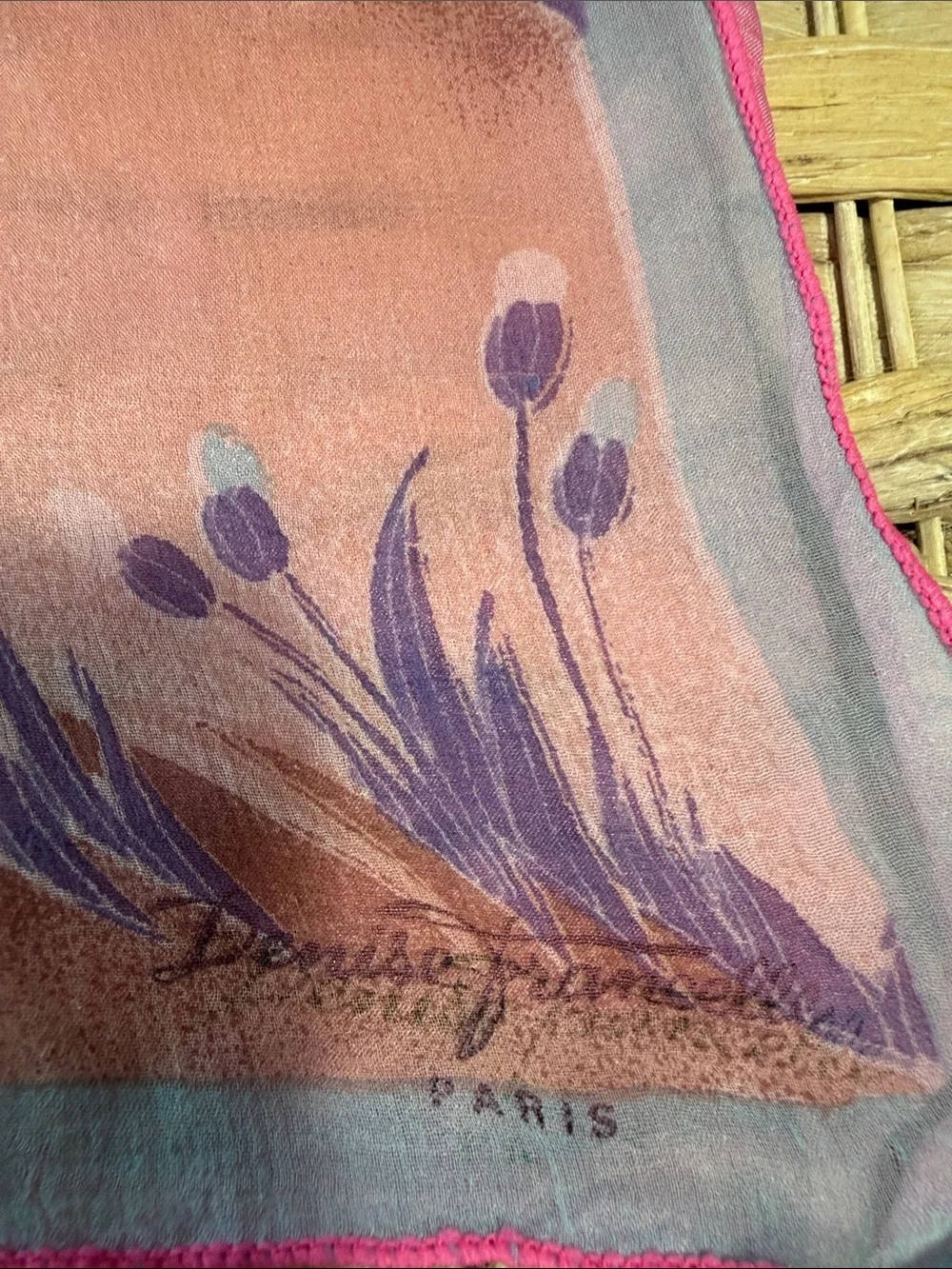 Silky Pink & Blue Scenic Print Scarf